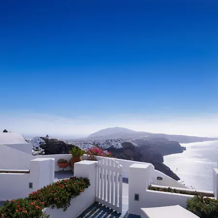 Zenith Blue Traditional