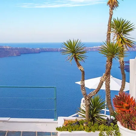 Zenith Blue Traditional