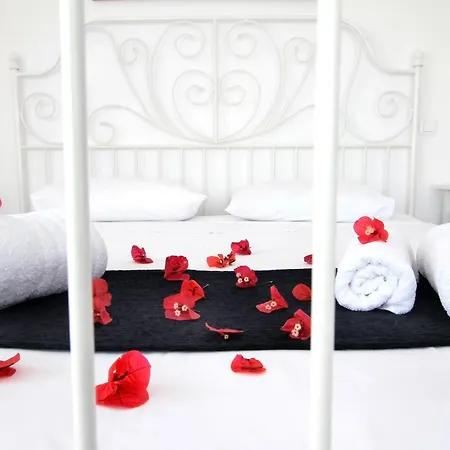 Zenith Blue Traditional אימרוביגלי