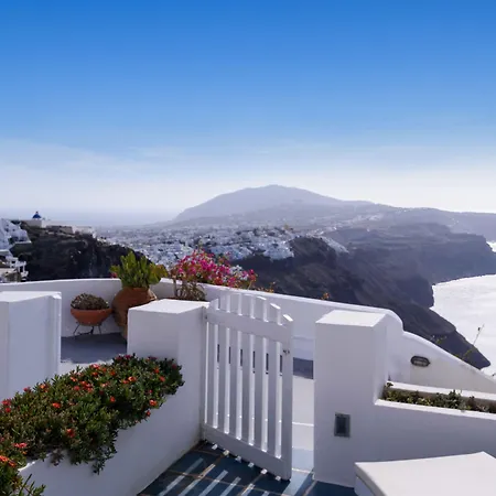 Zenith Blue Traditional