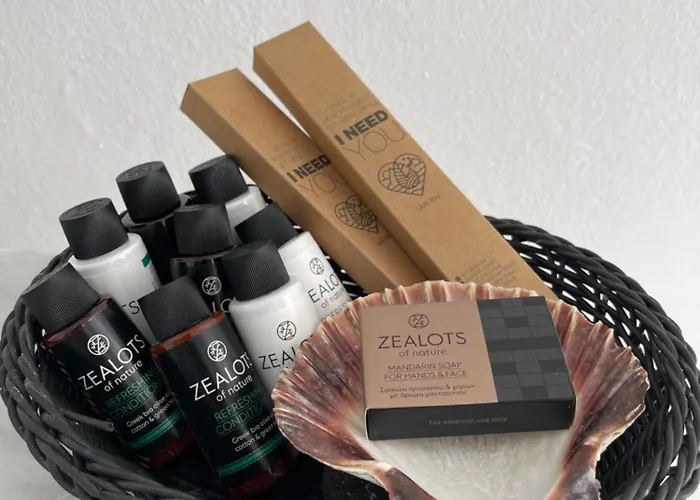 Zenith Blue Traditional Hotel